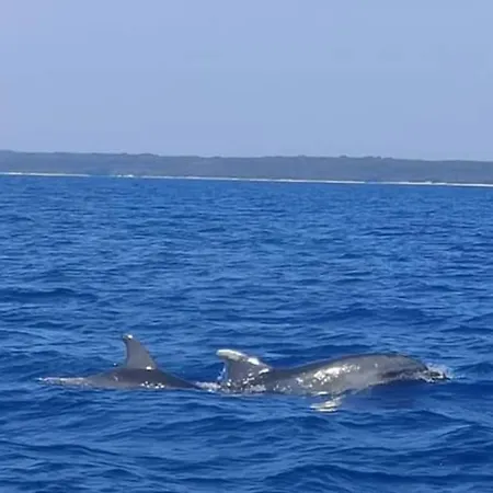 House Anna ヴィラ