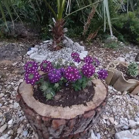 ヴィラ House Anna